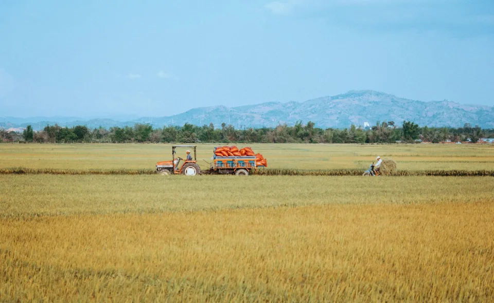Kho gạo của Coor Nhíu